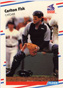 FLEER 1988, #397