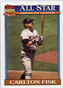 TOPPS 1991, #393